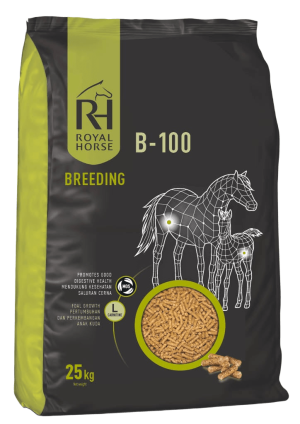 Royal Horse B-100